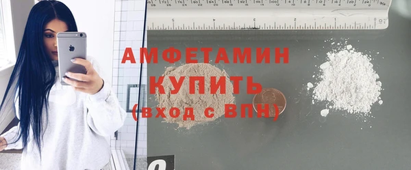 индика Калининец