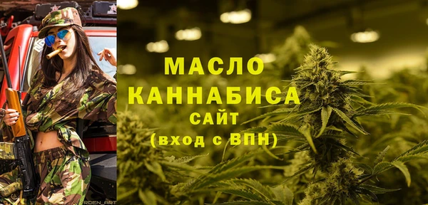 дмт Надым