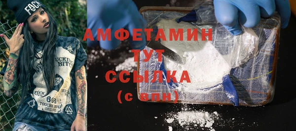 амф Михайловск