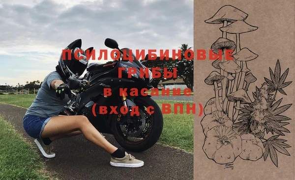 дмт Надым