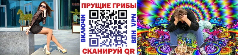 закладка Владикавказ Галлюциногенные грибы ЛСД