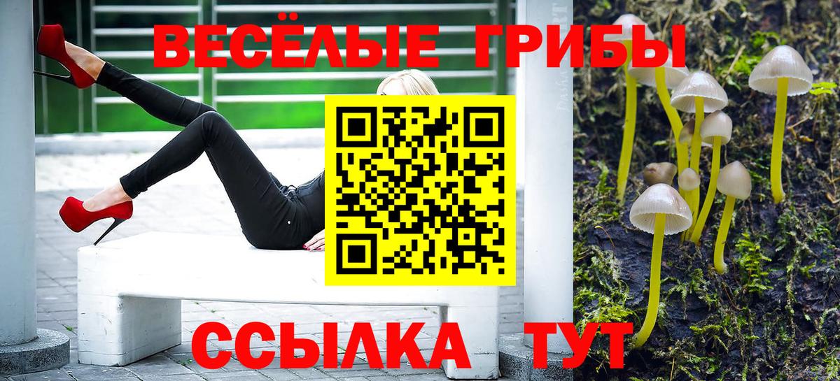 где купить наркотик  Владикавказ  Галлюциногенные грибы мухоморы 