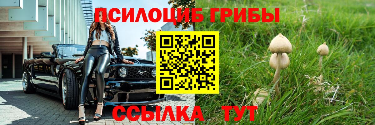 Псилоцибиновые грибы прущие грибы Владикавказ