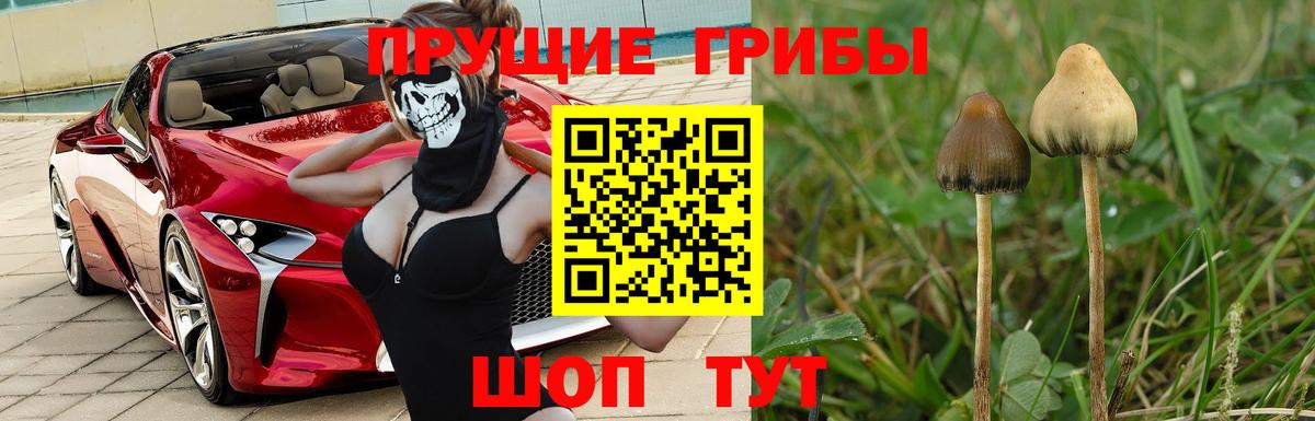Владикавказ  Галлюциногенные грибы Magic Shrooms  Вход с VPN 