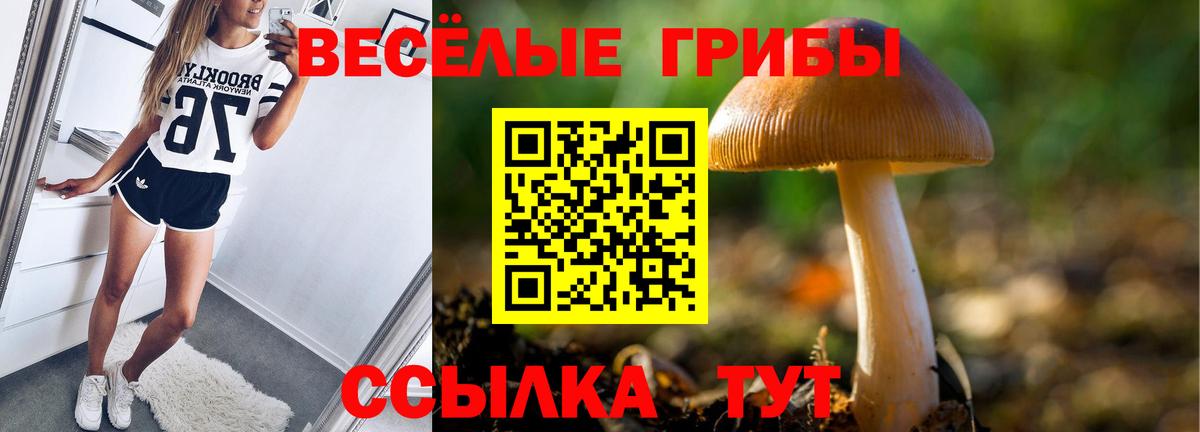 Галлюциногенные грибы Psilocybe Владикавказ